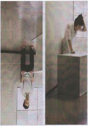 チラシ 表 犬目線 チラシ表